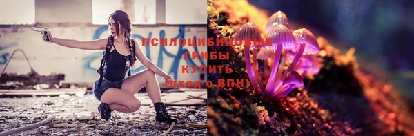 хмурый Балабаново