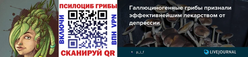 Псилоцибиновые грибы мухоморы Отрадная
